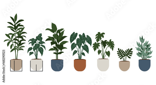 Modern flat design collection of indoor plants in decorative pots