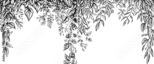 Tropical liana frames and modern borders with branch vines evoke a sense of the jungle, paired with an empty background that showcases the vibrant foliage of rainforest leaves and green tree plants