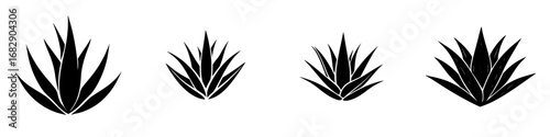 Minimalist vector illustration of black-and-white agave plant silhouettes representing growth and nature conservation