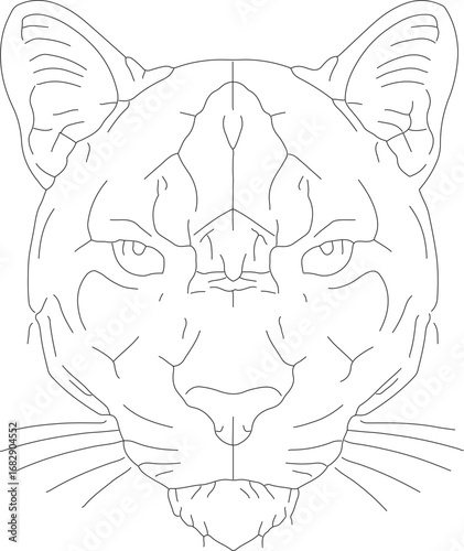 jojo (53)_vector.eps