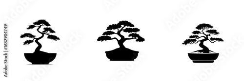Minimalist black-and-white vector illustration of three different bonsai trees in various pot styles