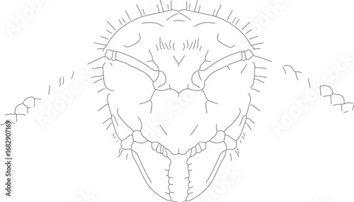 jojo (80)_vector.eps
