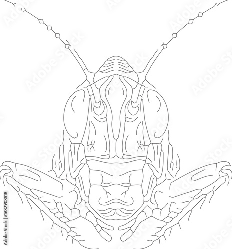 jojo (40)_vector.eps