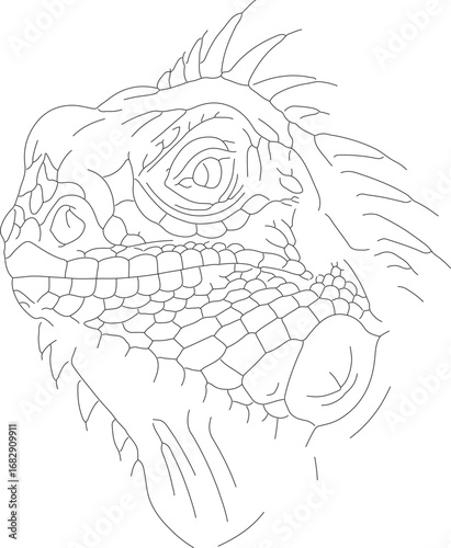 jojo (87)_vector.eps