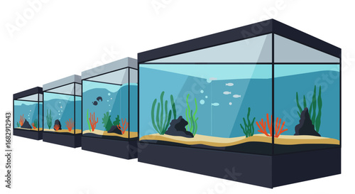 Modern aquariums with colorful fish and plants in perspective view