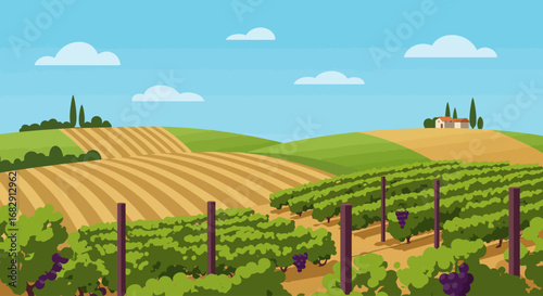 Tuscan Vineyard Landscape Illustration