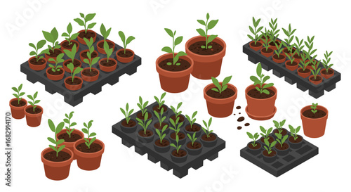 Isometric seedlings in pots and trays: gardening concepts