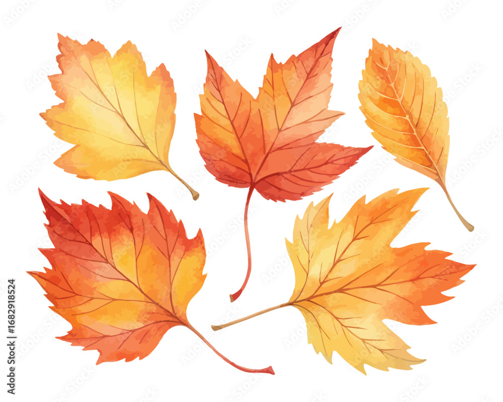 Fototapeta premium Watercolor Autumn Leaves Set in Orange and Yellow Tones