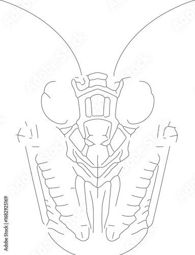 jojo (83)_vector.eps