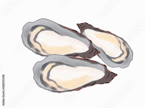 Illustration of a landscape with three raw oysters lined up