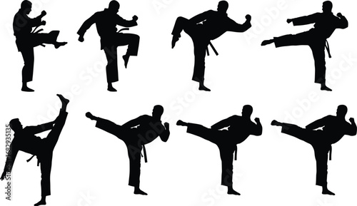martial, arts, karate, taekwondo, kick, stance, uniform, belt, training, sport, combat, self‑defense, silhouette, action, pose, discipline, fitness, exercise, movement, technique