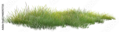 grass isolated on white background/Isolated grass meadow foliage plants in green nature PNG, fresh vegetation lawn pasture for summer growth.