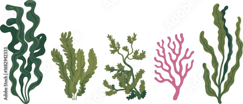 Seaweed cartoon set, marine algae illustrations, ocean plant diversity, underwater foliage, coral-like forms, botanical ocean icons, aquatic flora, stylized nature, coastal ecosystem design