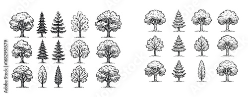 Sketch Style Tree Icons