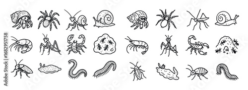 Invertebrate Pet Icons