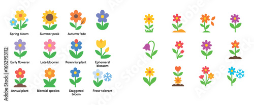 Colorful Wildflower Icons