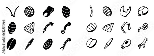 Isometric Insect Anatomy Icons
