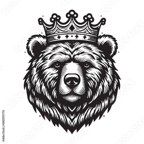 vector illustration of a bear