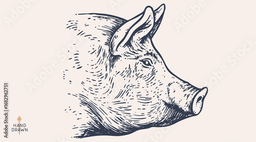 Pork, pig head, meat tag label. Template Meat Tag Label. Vintage print, tag, label with pig sketch ink pencil style drawing. Butchery pork pig head meat shop, text, typography. Vector Illustration