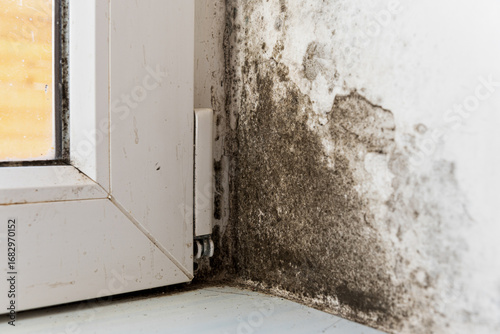 Severe black mold and mildew spreading on white house wall near window frame from dampness. Moisture damage and peeling paint.