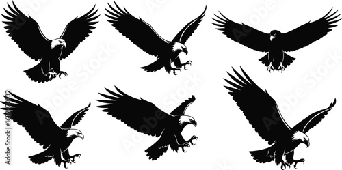 Eagle silhouette illustration, flying eagle pose, hunting bird of prey, majestic raptor art, wildlife vector design, freedom symbol, predator graphic