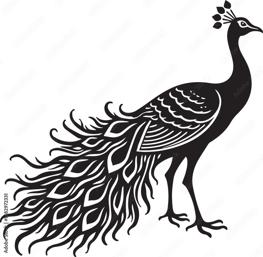 Fototapeta premium illustration of peacock 100% editable