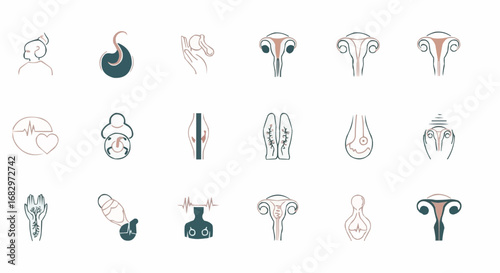 Minimalist Set Of gynecology Icons, healthcare symbols collection for women’s health, pregnancy, fertility, uterus, and reproductive system illustrations