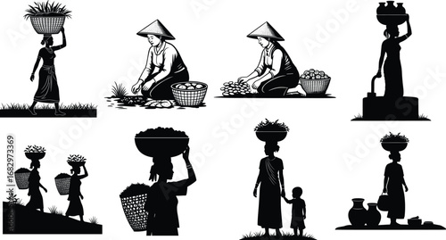 Traditional rural women working in agriculture, harvesting crops, carrying baskets, collecting vegetables, fetching water, daily village life, cultural heritage,