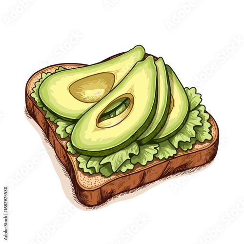 Avocado slices on toast with lettuce in a colorful illustration  