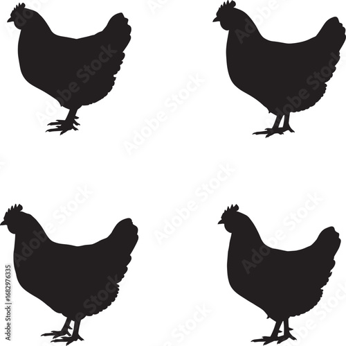 Four black chicken silhouettes standing on a white background in different poses
