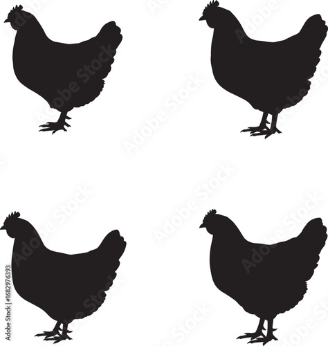 Four black chicken silhouettes standing on white background simple farm animal graphics