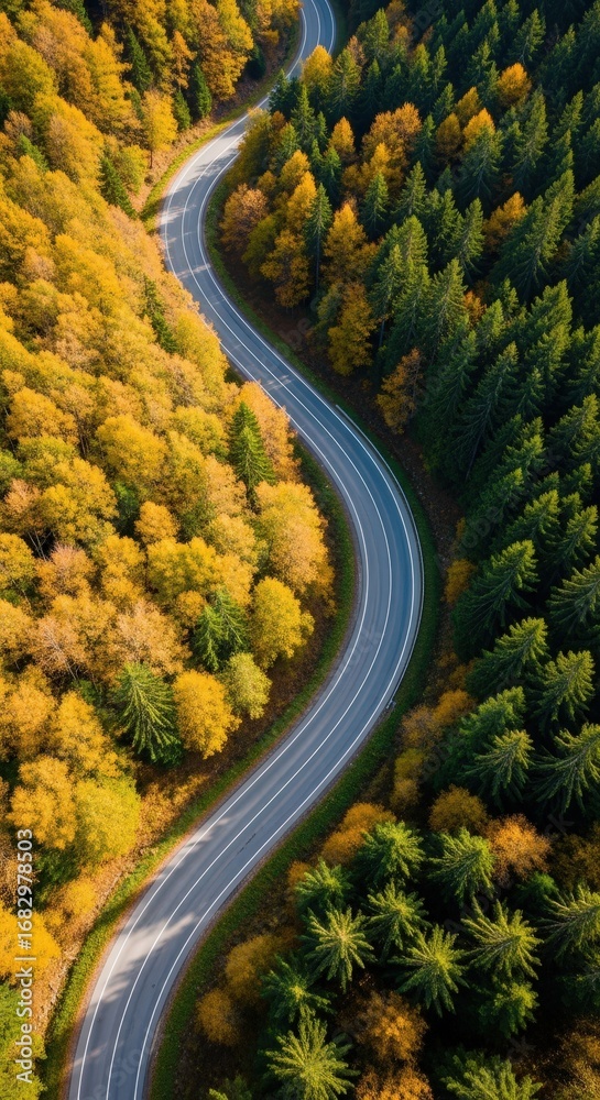 custom made wallpaper toronto digitalWinding road through colorful autumn forest with vibrant foliage