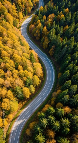 Wallpaper Mural Winding road through colorful autumn forest with vibrant foliage Torontodigital.ca