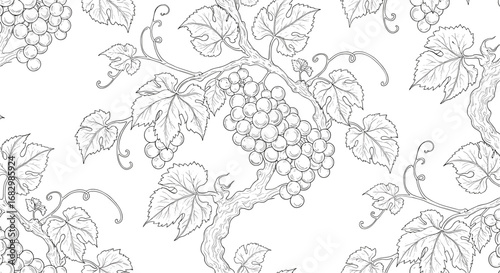 Elegant grapevine pattern with intricate branches and leaves