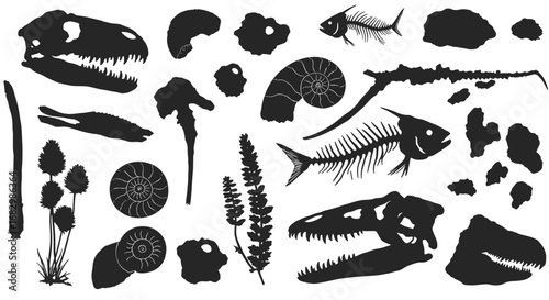 Fossils and dinosaur silhouettes featuring prehistoric plants and ancient skeletons