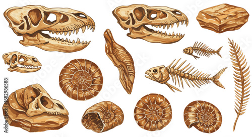 Dinosaur and fossil collection: watercolor art of prehistoric skulls and shells