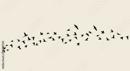 Flying bird silhouette pattern on minimalist beige background
