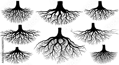 Silhouette tree roots collection: intricate black root designs for nature projects