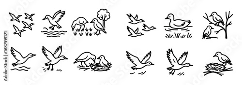 Migratory Birds Doodle Icons
