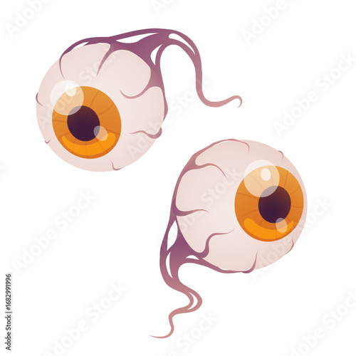Halloween eyes isolated on a white background. Vector cartoon illustration of creepy, scary eyes, Halloween decoration, Halloween icon, cartoon style, fun and spooky theme. 