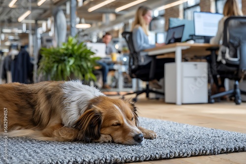 A dog rests in a modern office, symbolizing the trend of pet-friendly workplaces, work-life balance, and creating a comfortable, flexible corporate culture.