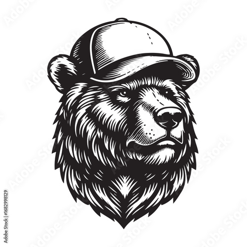 vector illustration of a bear