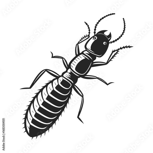 Termite Illustration Vector Graphic Pest Control Image Download on White Background