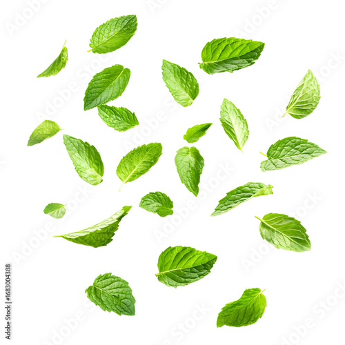 Fresh Mint Leaves in Flight - Culinary Herb Ingredient Concept