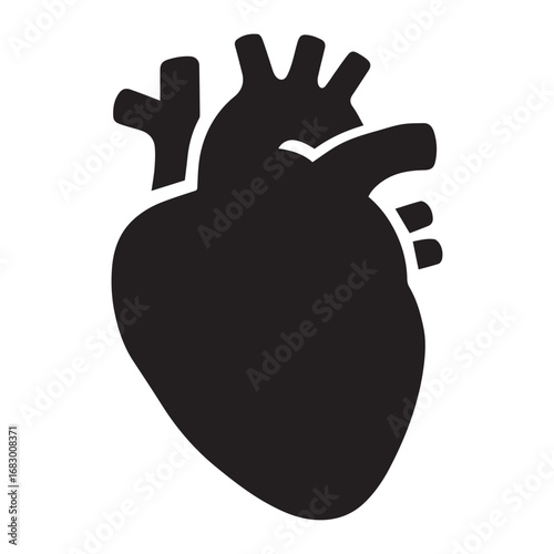 Vector illustration of human heart anatomy in simple black silhouette