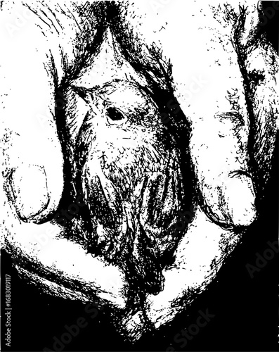 Gentle hands cradle tiny bird, symbolizing care, vulnerability, and nature's delicate beauty captured visually.