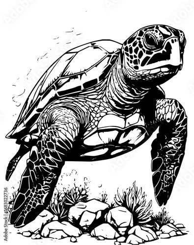 Majestic sea turtle gracefully swims through clear ocean waters near rocky seabed
