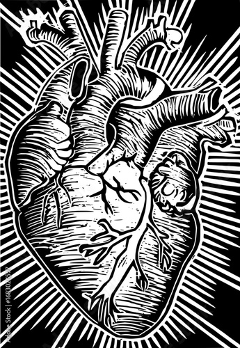 Striking black and white anatomical heart illustration with radiating lines evoking vital energy and life force.