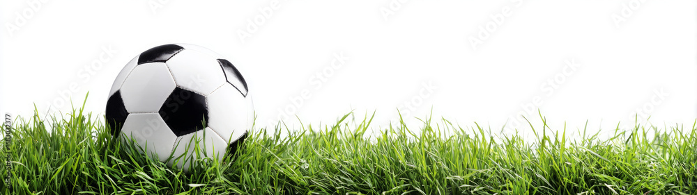 Obraz premium soccer ball on green grass on white background