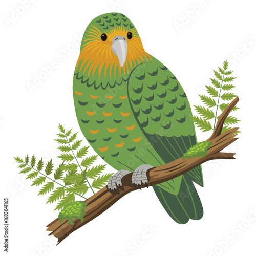 Kakapo New Zealand's Giant, Flightless Parrot